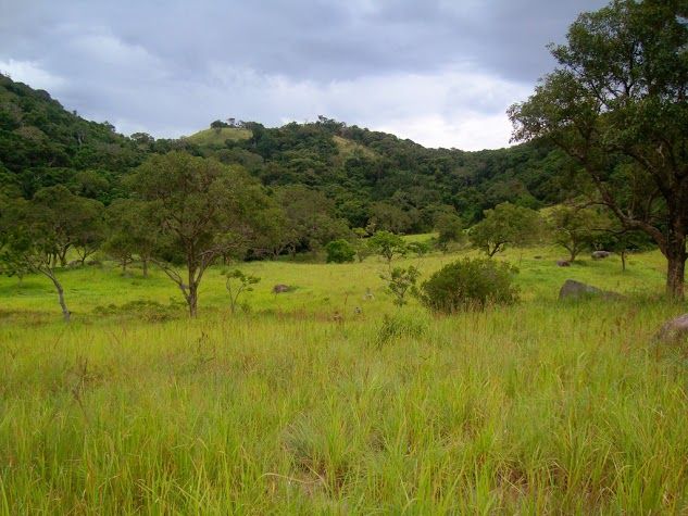 Núi Chúa Ninh Thuận